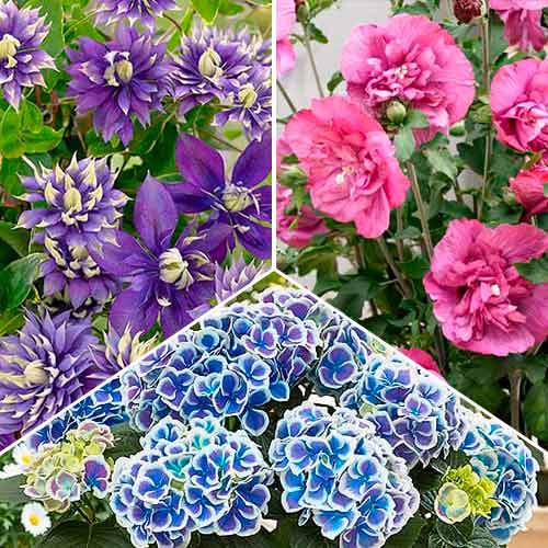 Super oferta! Letnia kolekcja Summertime, zestaw 3 odmian interface.image 1 interface.art 76710