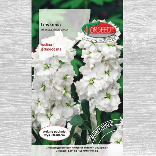 Lewkonia letnia Excelsior biała interface.image 1 interface.art 77547