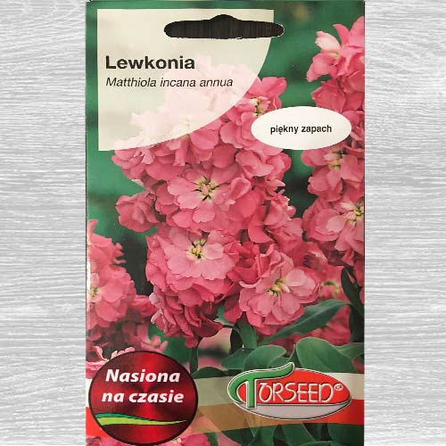 Lewkonia letnia Excelsior lilowa interface.image 1 interface.art 77550