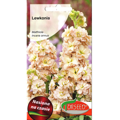 Lewkonia letnia Excelsior pomarańczowa interface.image 1 interface.art 77552