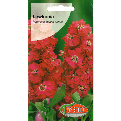 Lewkonia letnia Excelsior wiśniowoamarantowa interface.image 1 interface.art 77554