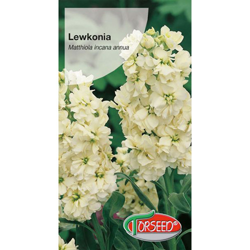 Lewkonia letnia Excelsior żółta interface.image 1 interface.art 77549