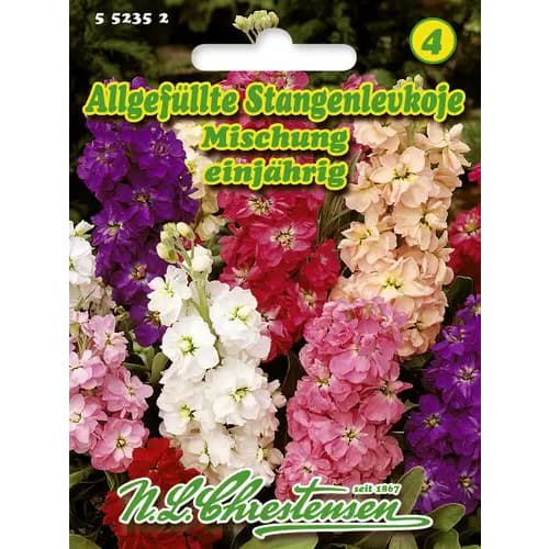 Lewkonia pelna, mix kolorow interface.image 1 interface.art 96437