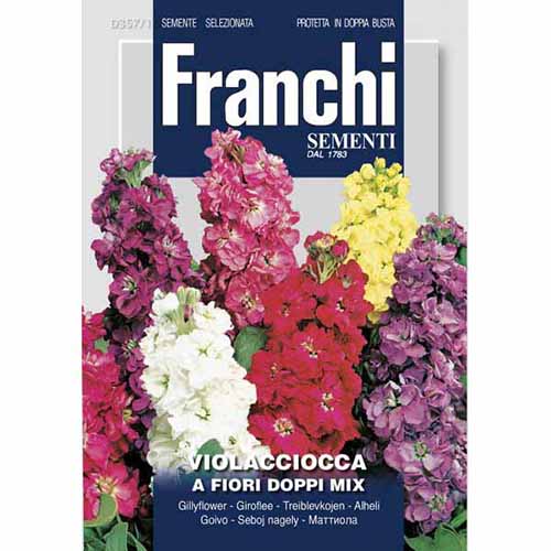 Lewkonia letnia pełna, mieszanka kolorów Morami interface.image 1 interface.art 87127