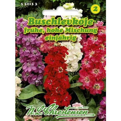 Lewkonia, mix kolorow interface.image 1 interface.art 96438