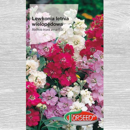 Lewkonia wielopędowa, mieszanka interface.image 1 interface.art 77557