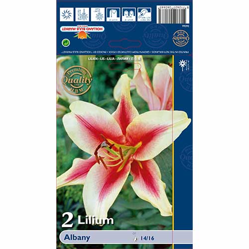 Lilia Albany interface.image 1 interface.art 70232