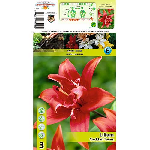 Lilia Cocktail Twins interface.image 1 interface.art 70426