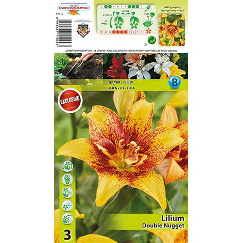 Lilia Double Nugget interface.image 1 interface.art 77820