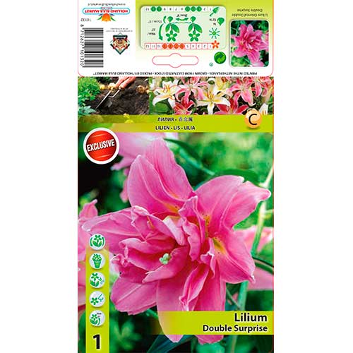Lilia orientalna pełna Double Surprise interface.image 1 interface.art 76307