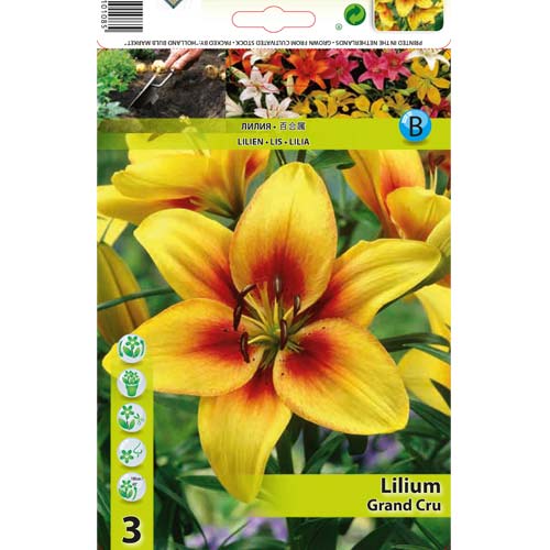 Lilia Grand Cru interface.image 1 interface.art 76468