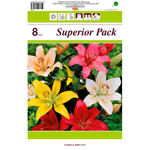 Lilia LA-Hybrid, mix kolorów interface.image 1 interface.art 76469