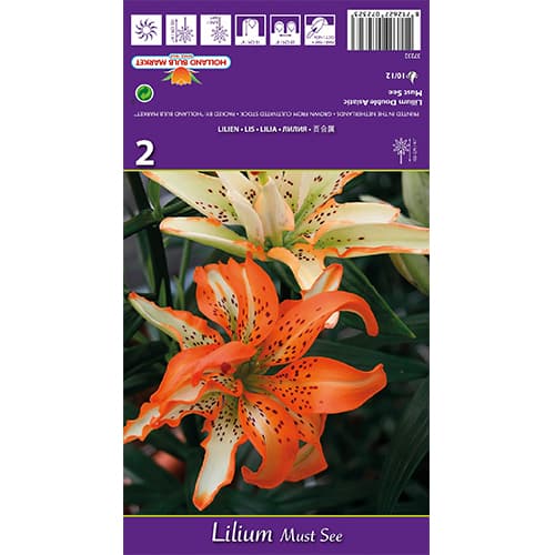 Lilia Must See interface.image 1 interface.art 77838