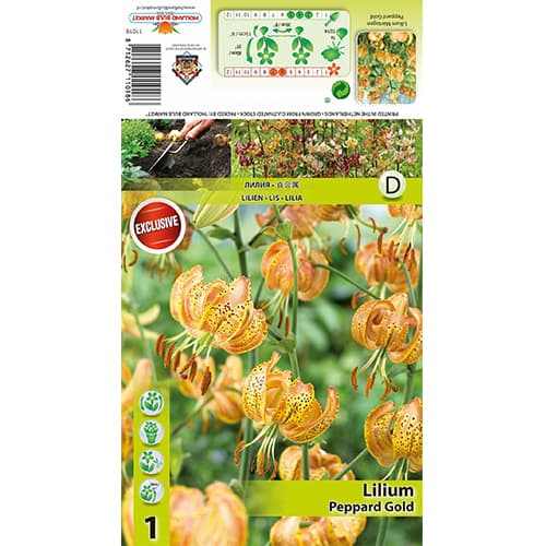 Lilia Peppart Gold interface.image 1 interface.art 77823