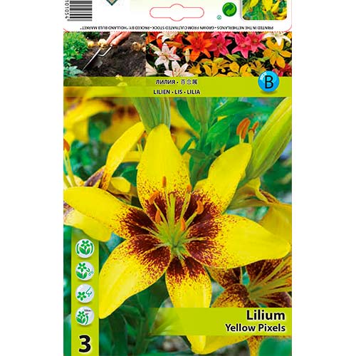 Lilia Yellow Pixels interface.image 1 interface.art 70470