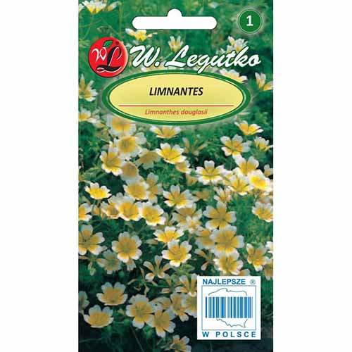 Limnantes żółto - biały Legutko interface.image 1 interface.art 96720