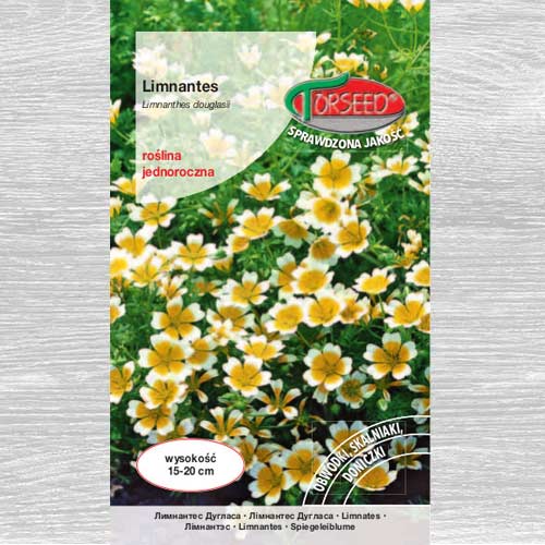 Limnantes interface.art zdjęcie 1 Limnantes interface.image 1 interface.art 77561