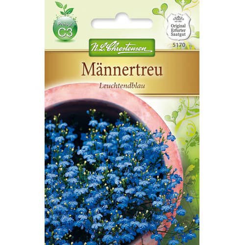 Lobelia zwisajaca Leuchtendblau interface.image 1 interface.art 78918