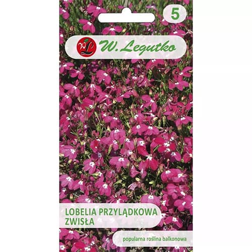 Lobelia zwisła karminowo - czerwona interface.image 1 interface.art 78622