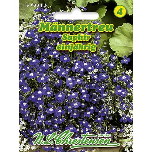 Lobelia zwisajaca Saphir interface.image 1 interface.art 86165