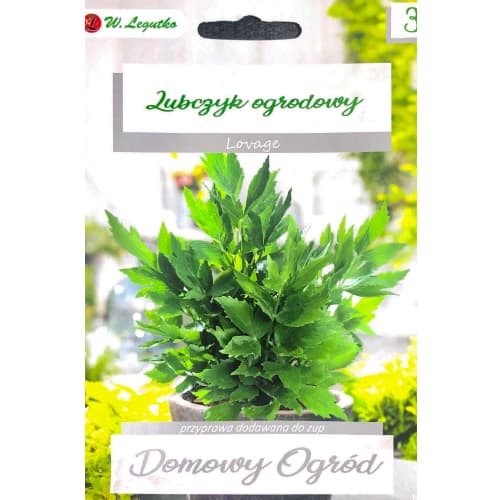 Lubczyk ogrodowy interface.image 1 interface.art 69644