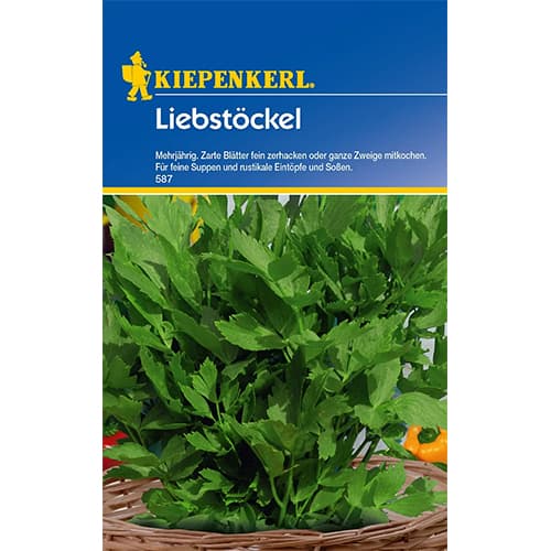 Lubczyk ogrodowy interface.image 1 interface.art 77473