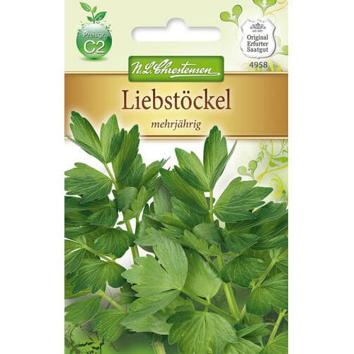 Lubczyk ogrodowy interface.image 1 interface.art 78859