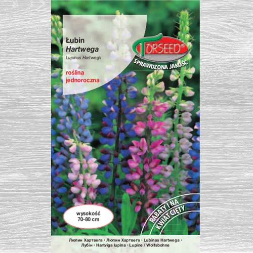 Łubin letni Hartwega, mieszanka interface.image 1 interface.art 77562