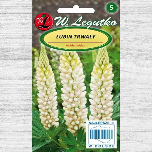 Łubin trwały Noblemaiden biały Legutko interface.image 1 interface.art 78607