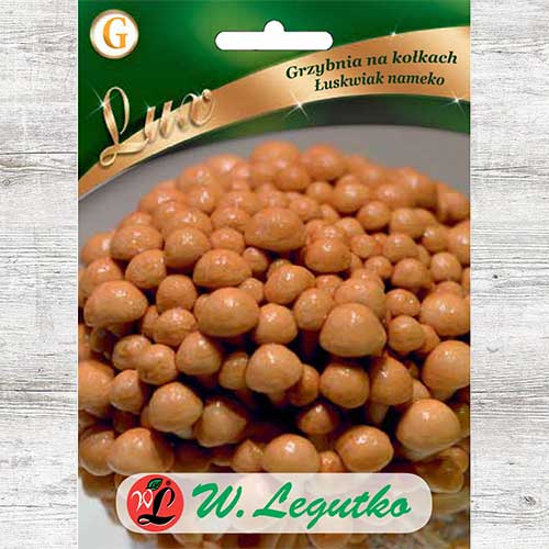 Łuskwiak nameko - grzybnia na kołkach interface.image 1 interface.art 86704