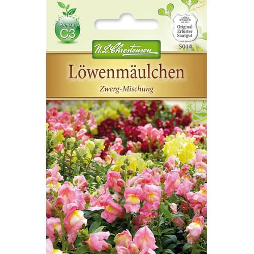 Lwia paszcza niska, mix kolorow interface.image 1 interface.art 78889