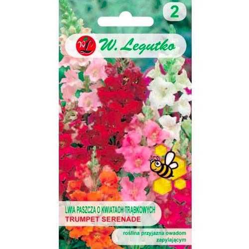 Lwia paszcza Trumpet Serenade, mix kolorow interface.image 1 interface.art 78574