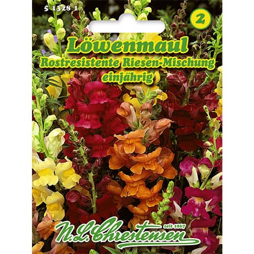 Lwia paszcza, mix kolorow interface.image 1 interface.art 86118