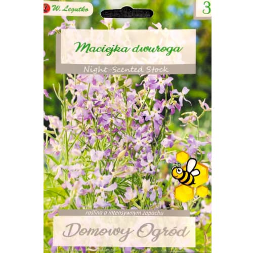 Maciejka dwuroga interface.art zdjęcie 1 Maciejka dwuroga interface.image 1 interface.art 78578