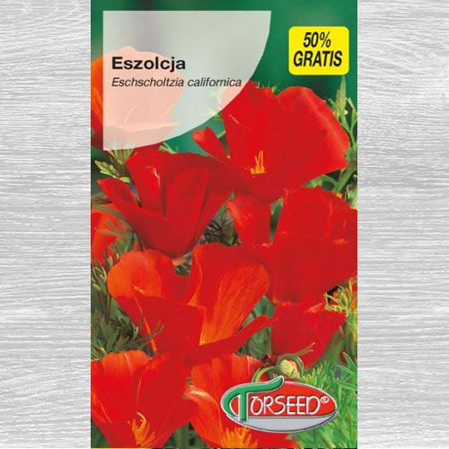 Maczek kalifornijski (Eszolcja) czerwony interface.art zdjęcie 1 Maczek kalifornijski (Eszolcja) czerwony interface.image 1 interface.art 77531