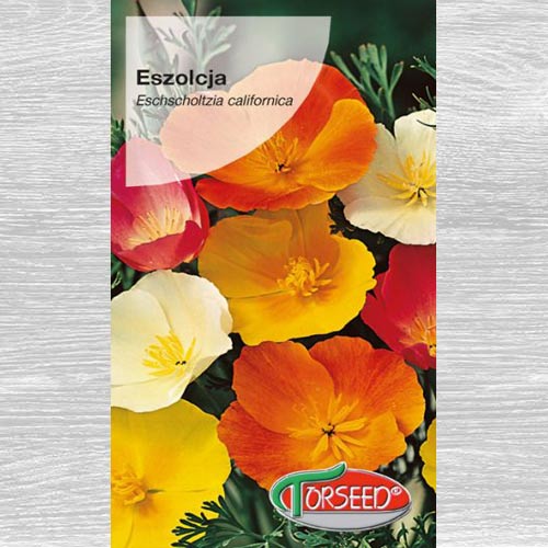 Maczek kalifornijski (Eszolcja), mieszanka interface.art zdjęcie 1 Maczek kalifornijski (Eszolcja), mieszanka interface.image 1 interface.art 77532