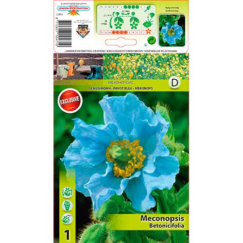 Mak niebieski himalajski interface.image 1 interface.art 76586