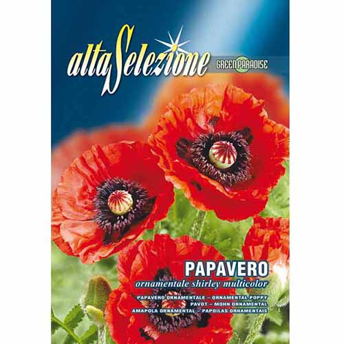 Mak ozdobny czerwony Morami interface.image 1 interface.art 96352