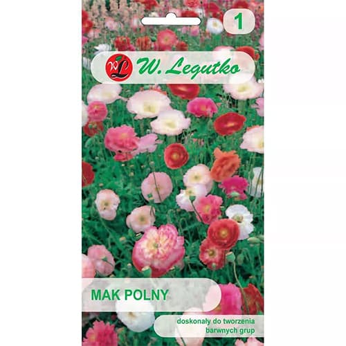 Mak polny, mix kolorow interface.art zdjęcie 1 Mak polny, mix kolorow interface.image 1 interface.art 78579