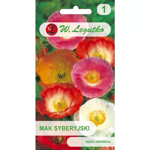 Mak syberyjski, mix interface.image 1 interface.art 78608