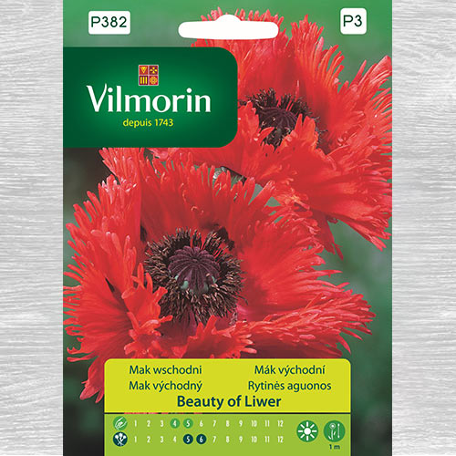 Mak wschodni Beauty od Liwer interface.image 1 interface.art 77681