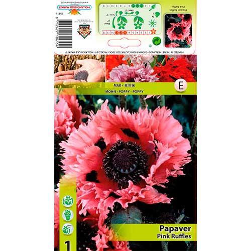 Mak wschodni Pink Ruffles interface.art zdjęcie 1 Mak wschodni Pink Ruffles interface.image 1 interface.art 76342