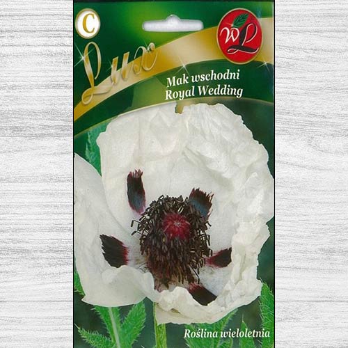 Mak wschodni Royal Wedding interface.image 1 interface.art 78666