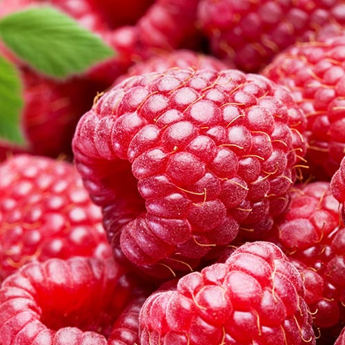 Malina Gigant czerwona interface.image 1 interface.art 7524