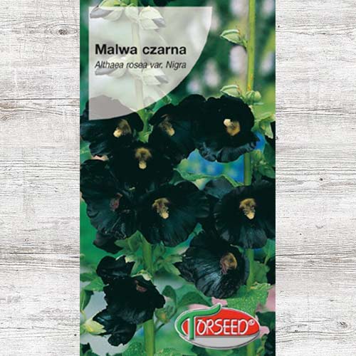 Malwa czarna, nasiona interface.image 1 interface.art 87019