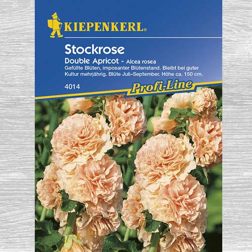 Malwa pełna Double Apricot interface.image 1 interface.art 77444