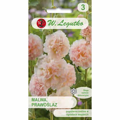 Malwa pełna (Prawoślaz) łososiowa Legutko interface.image 1 interface.art 96754