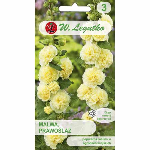 Malwa pełna (Prawoślaz) żółta Legutko interface.image 1 interface.art 96756