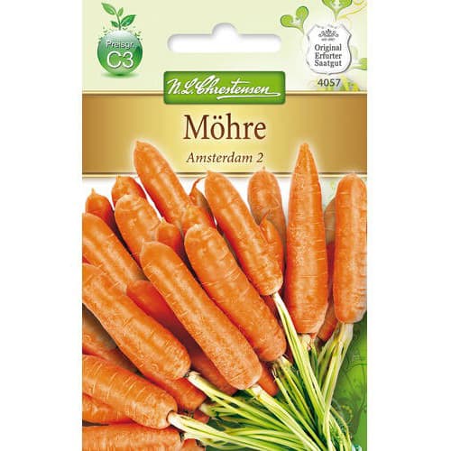 Marchew Amsterdam 2 interface.image 1 interface.art 78729