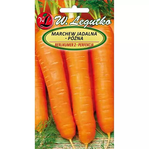 Marchew jadalna późna Berlikumer 2 interface.image 1 interface.art 78483